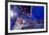 DEM 2016 Convention-Carolyn Kaster-Framed Photographic Print