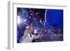 DEM 2016 Convention-Carolyn Kaster-Framed Photographic Print