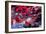 DEM 2016 Convention-Andrew Harnik-Framed Photographic Print