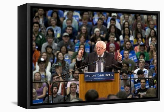 DEM 2016 Sanders-Jacquelyn Martin-Framed Stretched Canvas