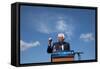 DEM 2016 Sanders-Jacquelyn Martin-Framed Stretched Canvas