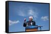 DEM 2016 Sanders-Jacquelyn Martin-Framed Stretched Canvas