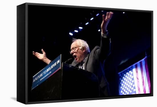 DEM 2016 Sanders-Jacquelyn Martin-Framed Stretched Canvas