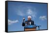 DEM 2016 Sanders-Jacquelyn Martin-Framed Stretched Canvas