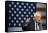 DEM 2016 Sanders-Jacquelyn Martin-Framed Stretched Canvas