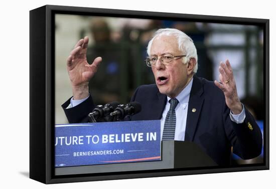 DEM 2016 Sanders-Jacquelyn Martin-Framed Stretched Canvas