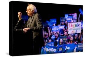 DEM 2016 Sanders-Jacquelyn Martin-Stretched Canvas