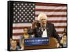 DEM 2016 Sanders-Steve Helber-Framed Stretched Canvas