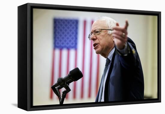 DEM 2016 Sanders-Jacquelyn Martin-Framed Stretched Canvas