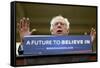 DEM 2016 Sanders-Jacquelyn Martin-Framed Stretched Canvas