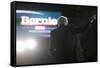 Dem 2016 Sanders-Steven Senne-Framed Stretched Canvas