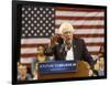 DEM 2016 Sanders-Steve Helber-Framed Photographic Print