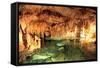 Demanovska Cave of Liberty, Slovakia-jarino47-Framed Stretched Canvas