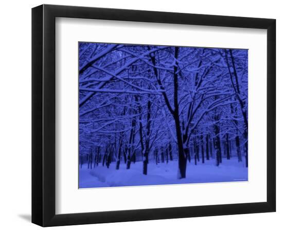 Premium Photographic Print, , large