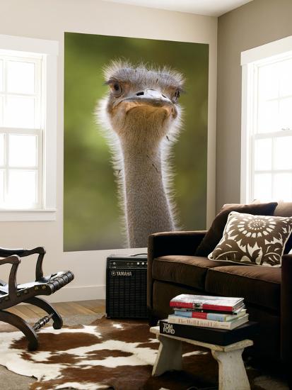 Giant Art Print, , large