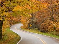Road in Forest, Vermont, New England, USA-Demetrio Carrasco-Photographic Print