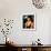 Demi Moore - Striptease-null-Framed Photo displayed on a wall