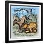 Democrat Donkey, 1870-Thomas Nast-Framed Giclee Print