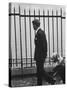 Democratic Candidate For New York Senator, Robert F. Kennedy with Dogs at Gracie Mansion-John Loengard-Stretched Canvas