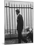 Democratic Candidate For New York Senator, Robert F. Kennedy with Dogs at Gracie Mansion-John Loengard-Mounted Photographic Print