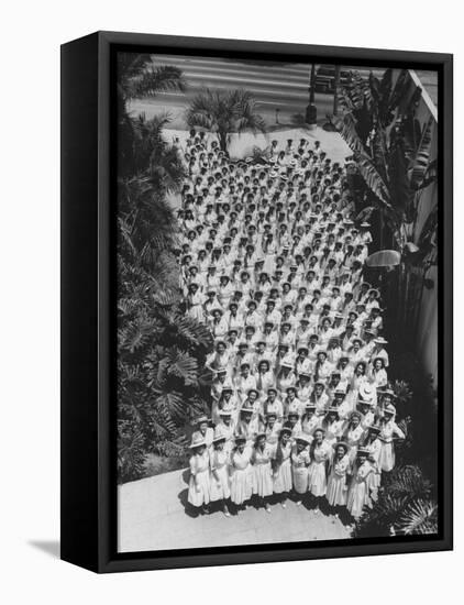 Democratic 'Golden Girls', Hostesses For Democratic National Convention Ready to Greet Delegates-J^ R^ Eyerman-Framed Stretched Canvas