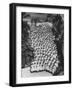 Democratic 'Golden Girls', Hostesses For Democratic National Convention Ready to Greet Delegates-J^ R^ Eyerman-Framed Photographic Print