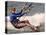Democratic Presidential Candidate Sen. John Kerry, D-Mass., Kite Surfs-null-Stretched Canvas