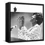 Democratic Presidential Candidate Shirley Chisholm Addresses Students at Cal State at Long Beach-null-Framed Stretched Canvas