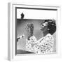 Democratic Presidential Candidate Shirley Chisholm Addresses Students at Cal State at Long Beach-null-Framed Photo