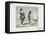 Demonstration of How to Float One's Back-Honore Daumier-Framed Stretched Canvas