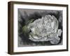 Demure-Barbara Keith-Framed Giclee Print