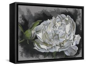 Demure-Barbara Keith-Framed Stretched Canvas