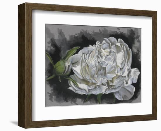 Demure-Barbara Keith-Framed Giclee Print