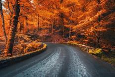 Road in Beautiful Red Forest at Sunrise in Autumn in Plitvice Lakes, Croatia. Beautiful Mountain Ro-den-belitsky-Photographic Print