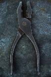 Vintage Small Pliers-Den Reader-Photographic Print