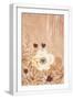 White Frame