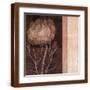 Brown Frame