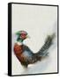 Canvas Black