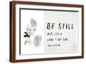 Brown Frame