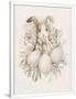 Gramercy White