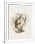 Gramercy White