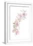 White Frame