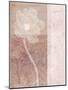 Wood Mount