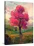 Stretched Canvas