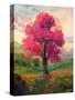 Stretched Canvas