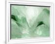 Gramercy White