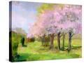 Stretched Canvas
