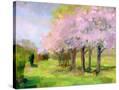 Stretched Canvas
