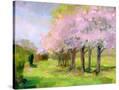 Stretched Canvas