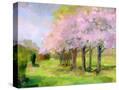 Stretched Canvas